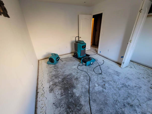 Best 24-hour water damage restoration  in Bonita, CA