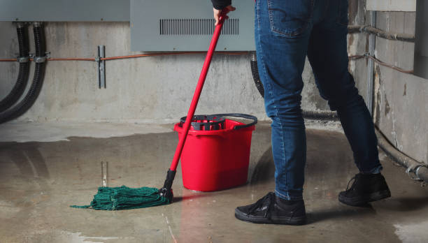 Water damage restoration mold remediation in Bonita, CA