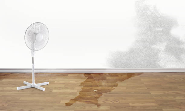 Best Flood restoration services  in Bonita, CA