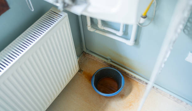 Carpet water damage restoration in Bonita, CA