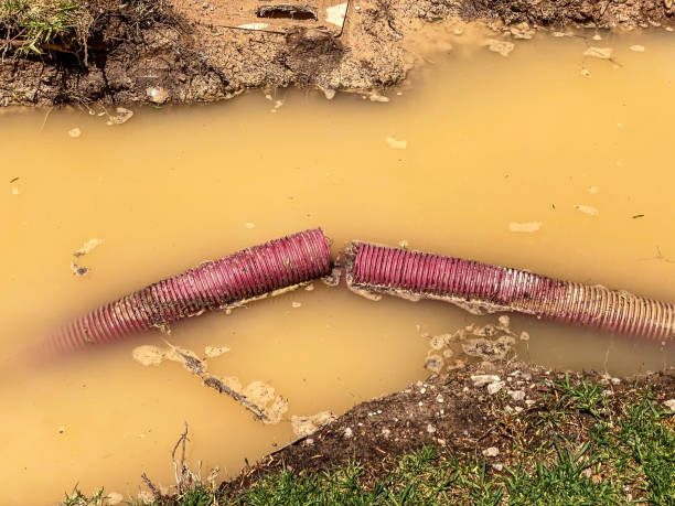 Best Water damage restoration process  in Bonita, CA