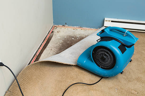 Reliable Bonita, CA Water damage restoration Solutions